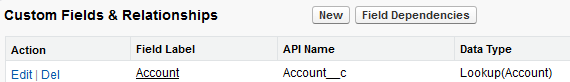 Salesforce-Custom-Field